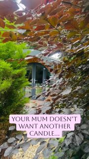 Let’s be honest… your mum probably doesn’t need another candle.  What she really deserves is a little time away. 💐 🌿

To celebrate Mother’s Day, we’re offering 15% off stays for the rest of March when you book before midnight on Monday 23rd 2026. Use code MOTHERSDAY

There are still a few weekend slots available, but they’re filling up quickly.

Choose from our elegant mansion apartments at Holyland House or our cosy charming cottages or glamping cabin from our Hideaway Collection….and extra bonus, there’s a couple with hot tubs 😉 

Book direct via the link in our bio!

#Pembrokeshire #MothersDayGift #PembrokeshireCoast #UKStaycation #Giftideas