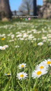 Life for the next few months in the Pembrokeshire countryside… 🌿

Slow mornings, big skies, muddy boots, coastal walks, cosy evenings and that peaceful feeling you only get when you properly escape.

Whether you’re dreaming of a romantic hideaway, a nature-filled weekend, or a base for exploring the Pembrokeshire Coast, this is your sign to plan a countryside break.

📍 Greenacres Estates, Pembrokeshire
✨ Cosy cottages, mansion apartments & Luna Cabin
🌊 Close to beaches, coast paths, castles and countryside

Book your Pembrokeshire escape direct via our website:
